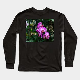 Pink Orchid Flowers Long Sleeve T-Shirt